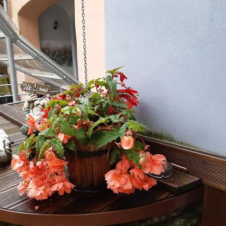 Soludus-spissky Ludovy Dom Gæstehus