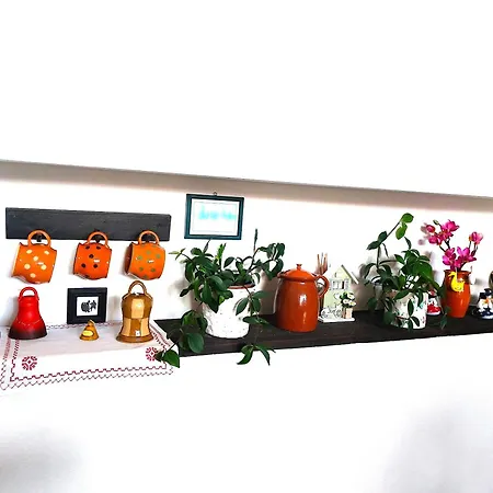 Soludus-spissky Ludovy Dom 4*